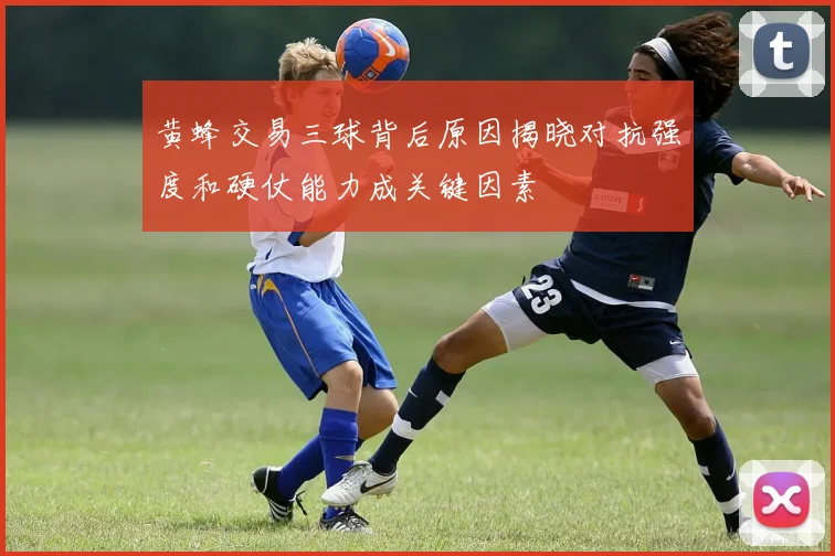 黄蜂交易三球背后原因揭晓对抗强度和硬仗能力成关键因素