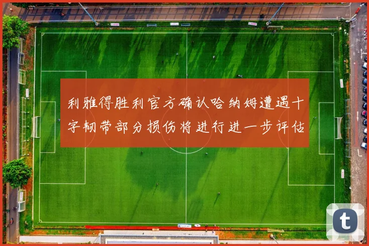 利雅得胜利官方确认哈纳姆遭遇十字韧带部分损伤将进行进一步评估